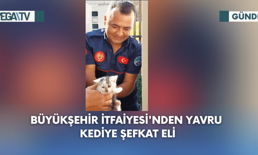 Büyükşehir İtfaiyesi'nden Yavru Kediye Şefkat Eli - Mega TV Web Haber Şablon - 2023-09-05T150815.016