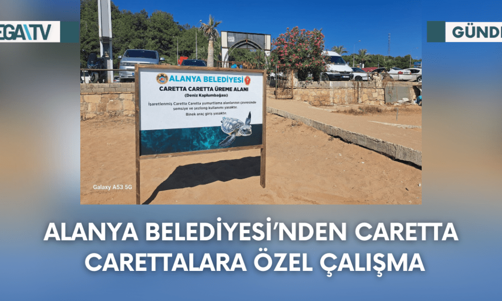 Alanya Belediyesi'nden Caretta Carettalara Özel Çalışma - Mega TV Web Haber Şablon - 2023-09-20T152038.818