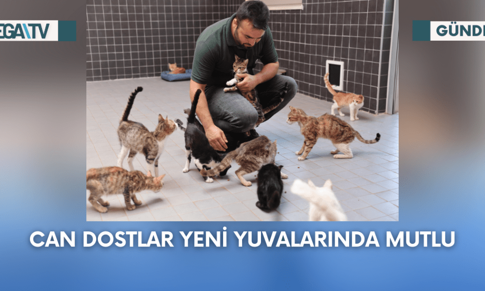 Can Dostlar Yeni Yuvalarında Mutlu - Mega TV Web Haber Şablon - 2023-09-25T121439.693