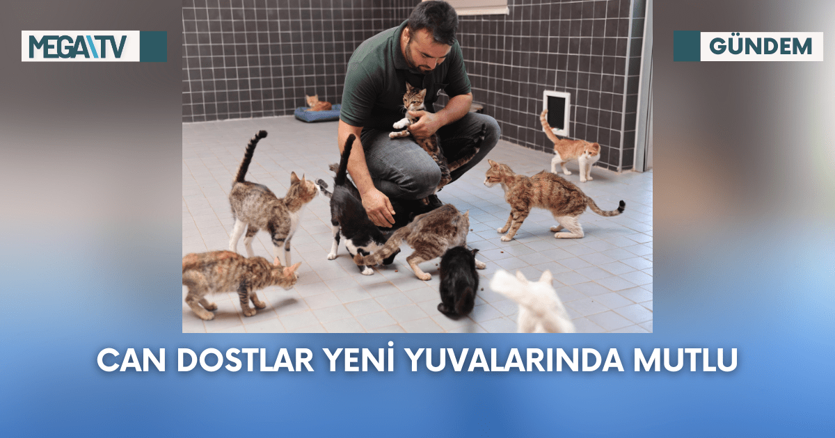 Can Dostlar Yeni Yuvalarında Mutlu
