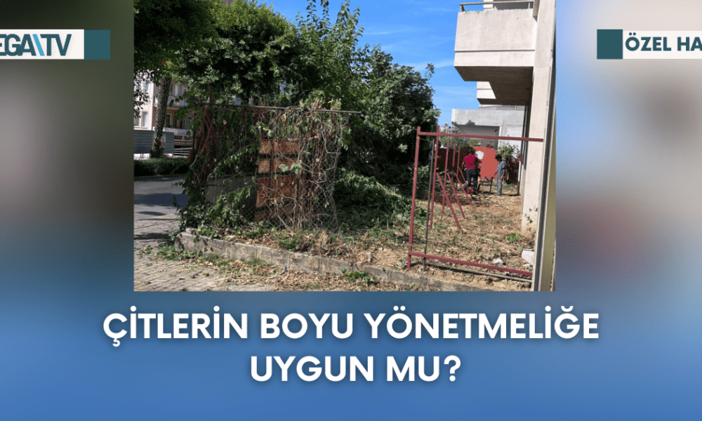 Web Haber Şablon - 2023-09-26T135538.599