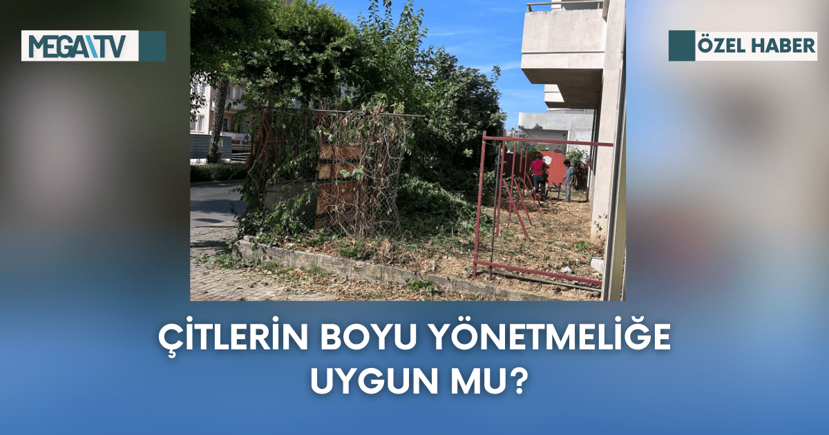 Çitlerin Boyu Yönetmeliğe Uygun Mu?