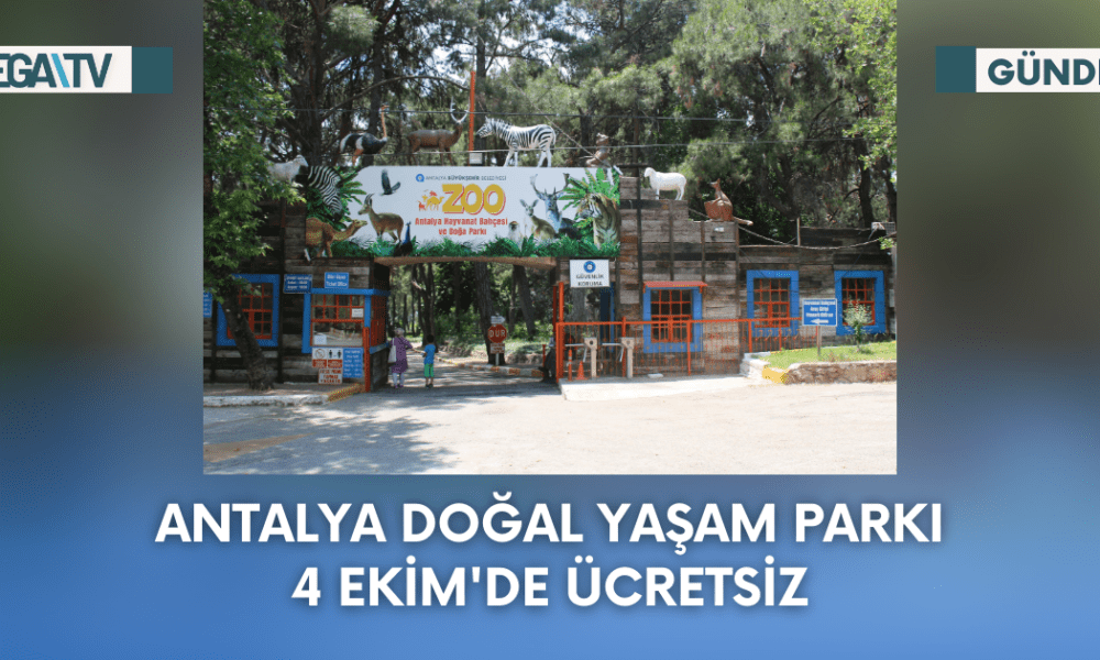 Web Haber Şablon - 2023-10-02T141423.164