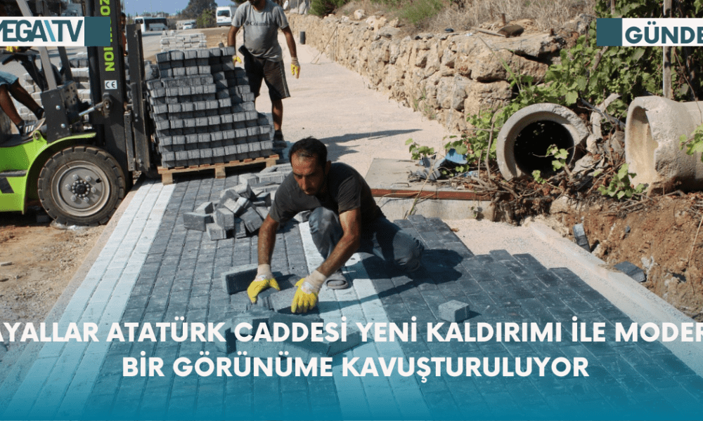 Payallar Caddesi Yeni Kaldırım İle Modern Bir Görünüme Kavuşturuluyor - Mega TV Web Haber Şablon - 2023-10-18T140344.908