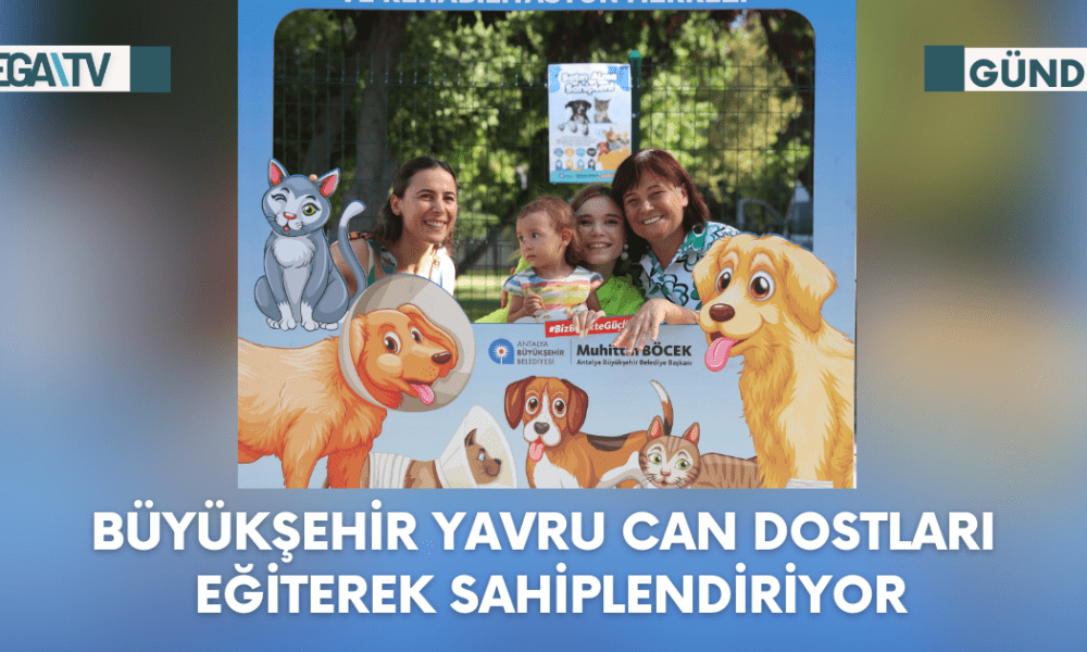 Can dostlara yuva olun - Mega TV Web Haber Şablon (45)