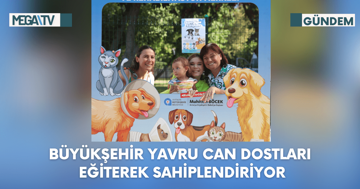 Can dostlara yuva olun