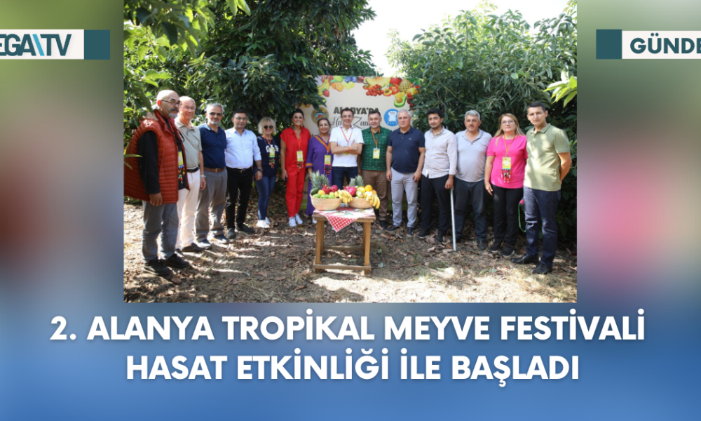 Web Haber Şablon (76)