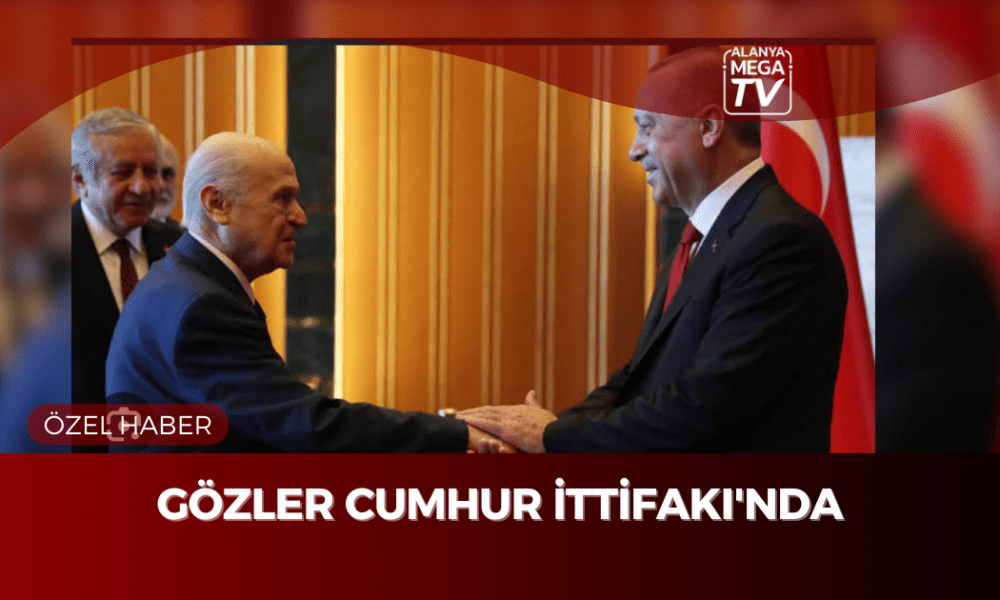 ÖZEL HABER WEBSİTE ŞABLON (48)