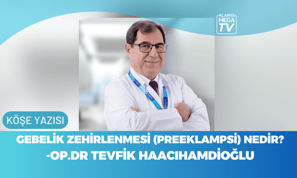 WEBSİTE ŞABLON - 2023-11-10T112014.157
