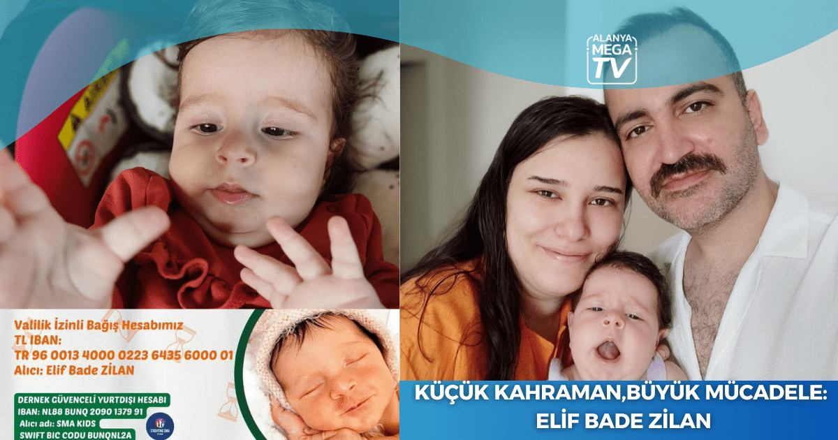 WEBSİTE ŞABLON Kopyası Kopyası