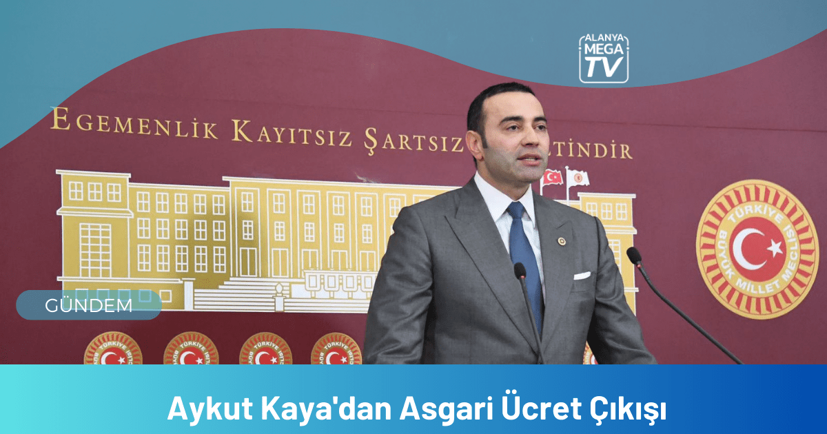 WEBSİTE ŞABLON - 2023-12-11T131757.113
