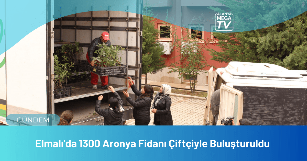 Elmalı'da 1300 Aronya Fidanı Çiftçiyle Buluşturuldu - Mega TV WEBSİTE ŞABLON - 2023-12-11T145440.644