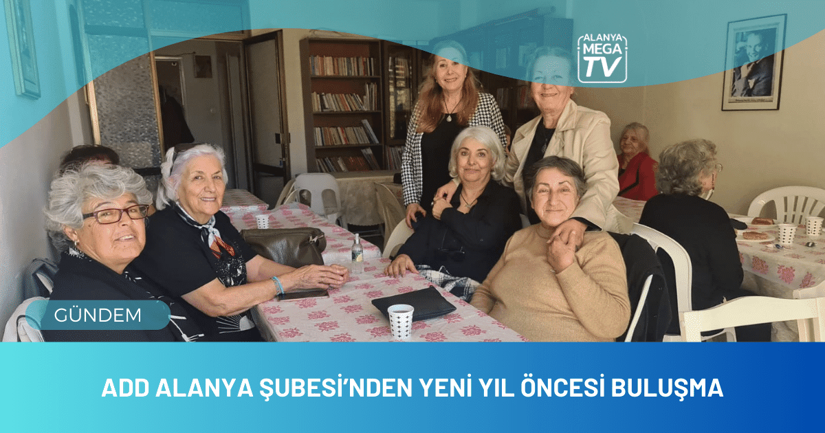 WEBSİTE ŞABLON - 2023-12-20T180824.890