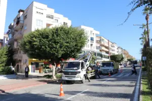 Alanya Belediyesi Kışlık Budama Çalışmalarına Devam Ediyor - Mega TV WhatsApp Image 2023 12 14 at 15.29.13 1 min - Mega TV