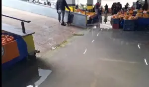 Cuma Pazarı’nda alabalık sezonu! - Mega TV WhatsApp Image 2023 12 23 at 14.06.21 1 - Mega TV