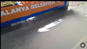 Cuma Pazarı’nda alabalık sezonu! - Mega TV WhatsApp Image 2023 12 23 at 14.06.23 1 - Mega TV