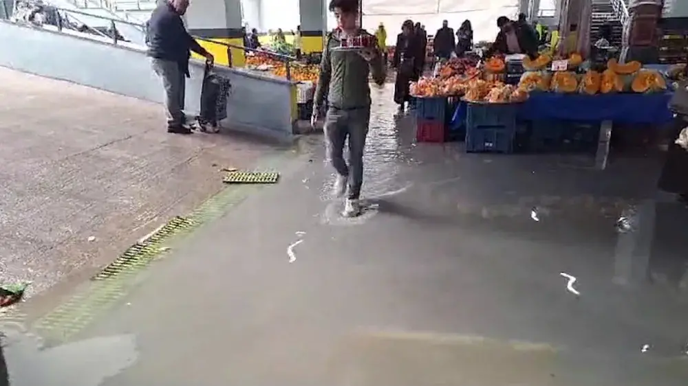 Cuma Pazarı’nda alabalık sezonu!