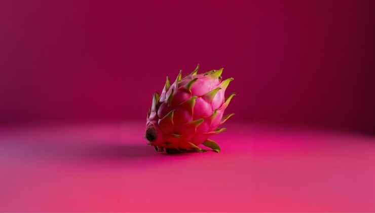 Ejder meyvesini yakından tanıyalım!