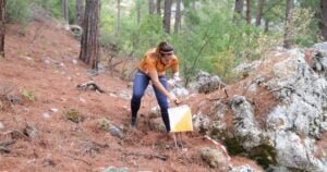 Alanya, Oryantiring Şampiyonasına ev sahipliği yapıyor - Mega TV WEBSITE SABLON 2024 01 24T113530.556 - Mega TV