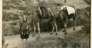 WEBSITE SABLON 2024 01 25T164223.774 - Mega TV