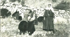 WEBSITE SABLON 2024 01 25T165743.790 - Mega TV