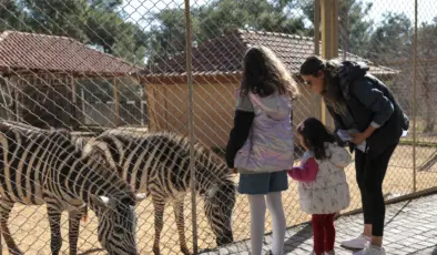 Antalya Doğal Yaşam Parkı, yarıyıl tatili süresince çocukların ilgi odağı oldu