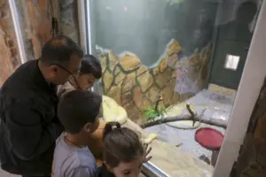 Dogal yasam parki 4 - Mega TV