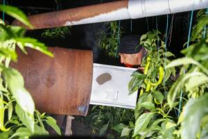 Kumluca Dijital Tarim 11 min - Mega TV