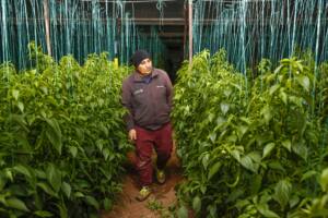 Kumluca Dijital Tarim 3 min - Mega TV