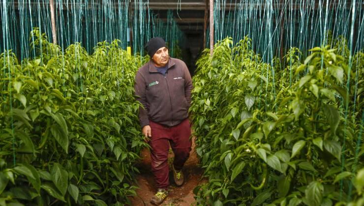 Büyükşehir’den Dijital Tarım Projesi