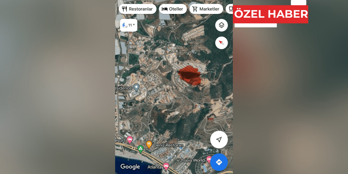Orman arazisini kimler talan ediyor?
