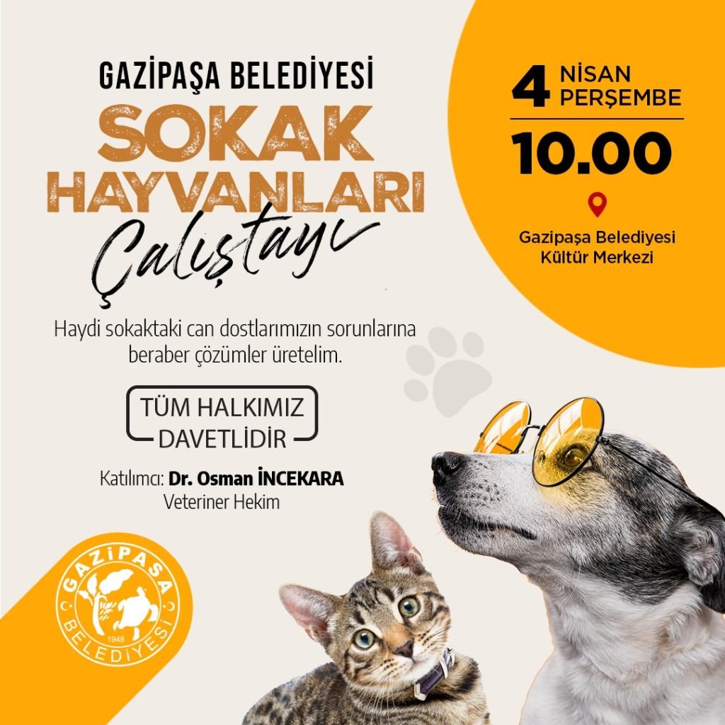 Gazipaşa Belediye'sinden Sokak Hayvanları Çalıştayı - Mega TV WhatsApp Image 2024 04 03 at 9.16.48 AM - Mega TV
