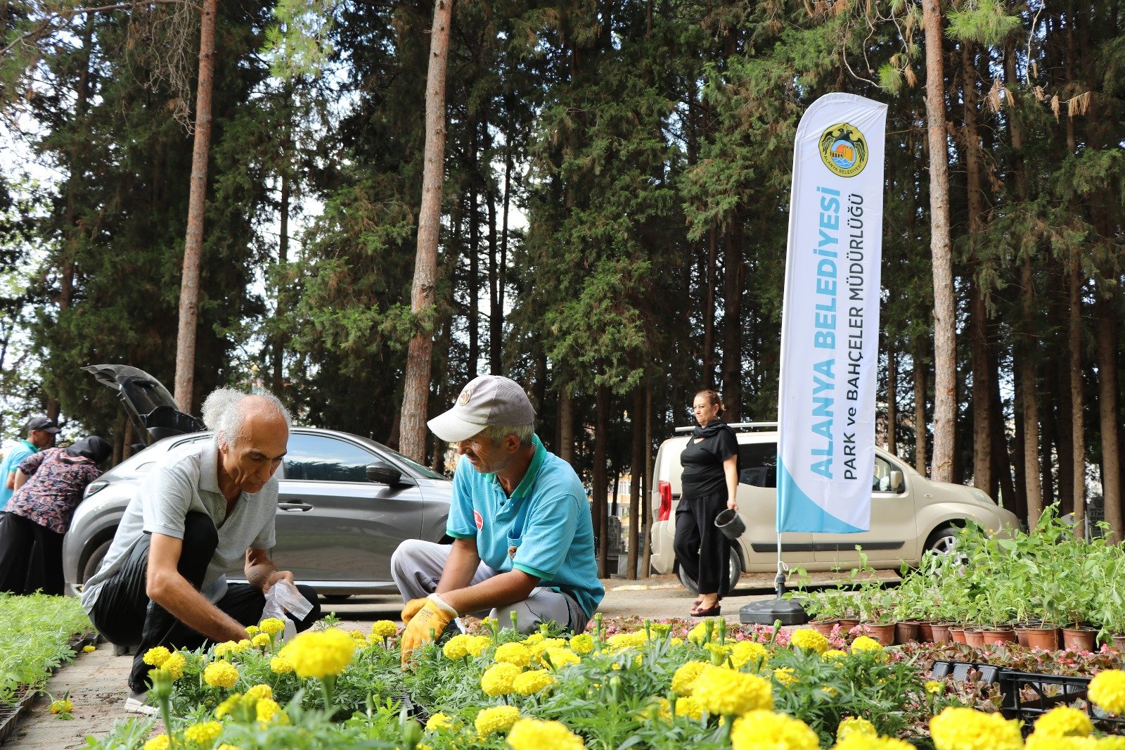 Alanya Belediyesi, Bayramda 31 Mezarlıkta Ücretsiz Çiçek Dağıtacak