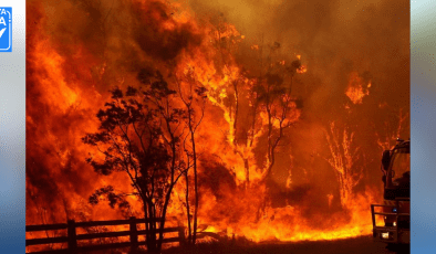Çanakkale’de yangın paniği