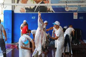 Kurban Kesim Hizmeti 4 min - Mega TV