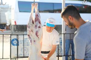 Kurban Kesim Hizmeti 6 min - Mega TV