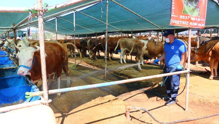 Büyükşehir Kurban Pazar Yerlerini İlaçlıyor