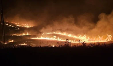 Diyarbakır ve Mardin’de Yangın