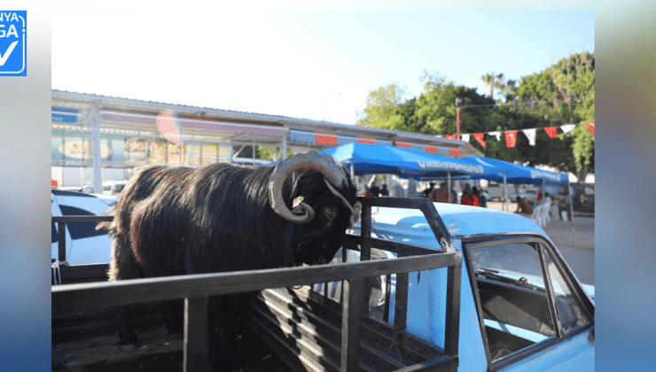 Antalya Büyükşehir Belediyesi 3 farklı noktada kesim hizmeti veriyor