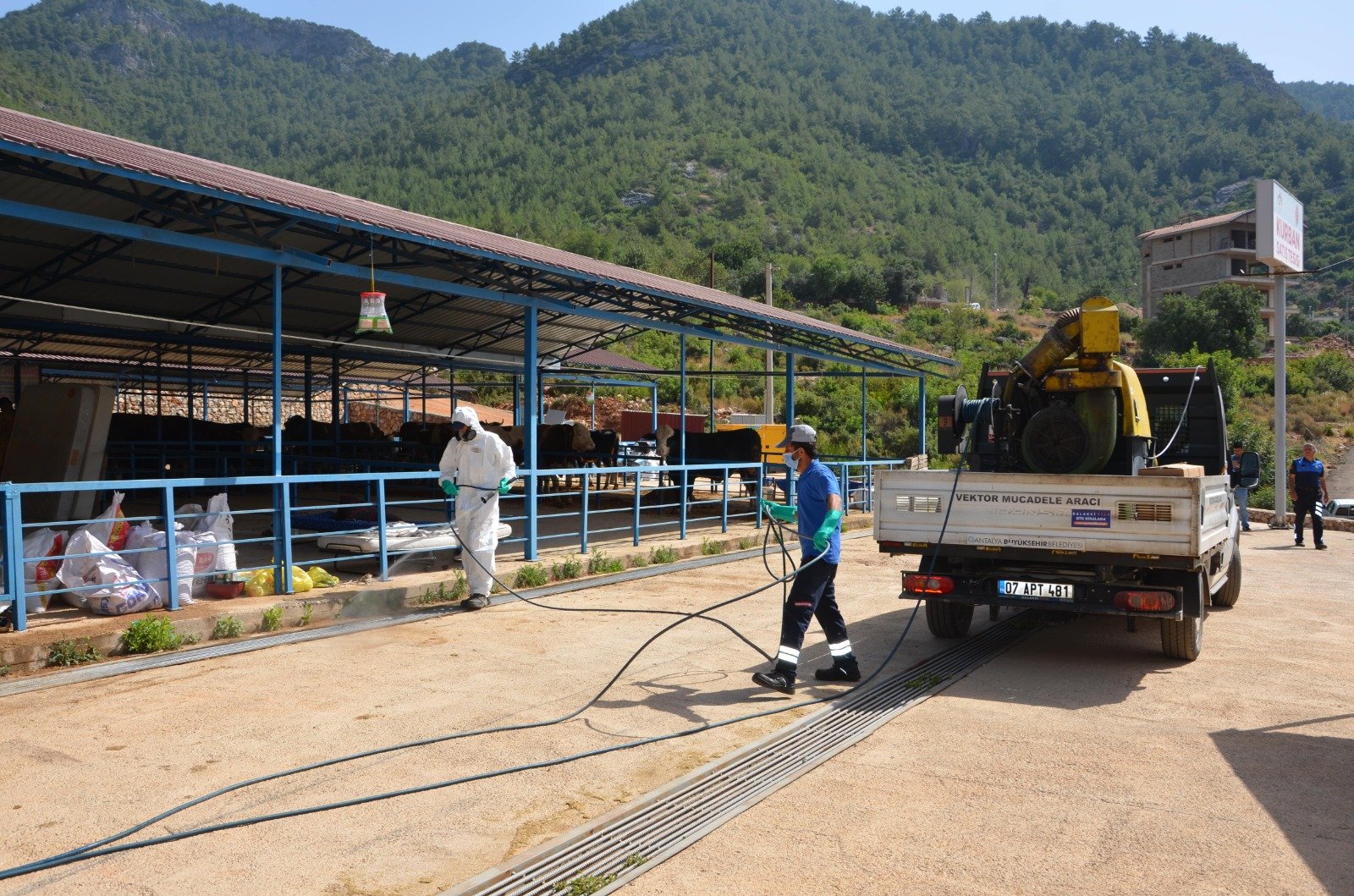 Büyükşehir, Alanya’da Kurban Pazar Yerlerini İlaçlıyor
