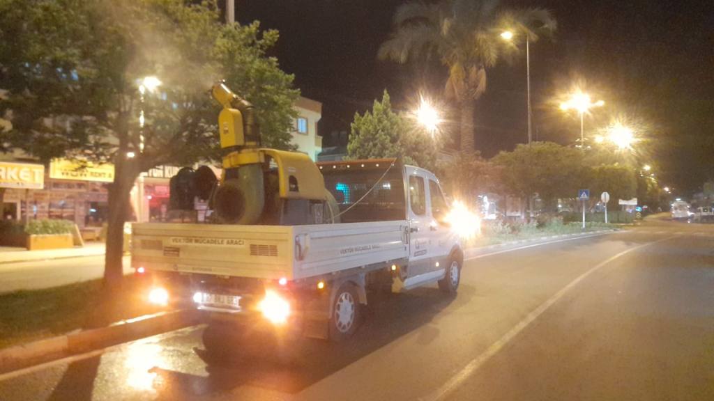 Alanya’da sinekle gece gündüz mücadele - Mega TV WhatsApp Image 2024 06 14 at 11.53.29 - Mega TV