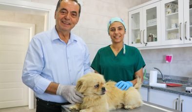 Gazipaşa’dan sokak hayvanlarına anlamlı proje