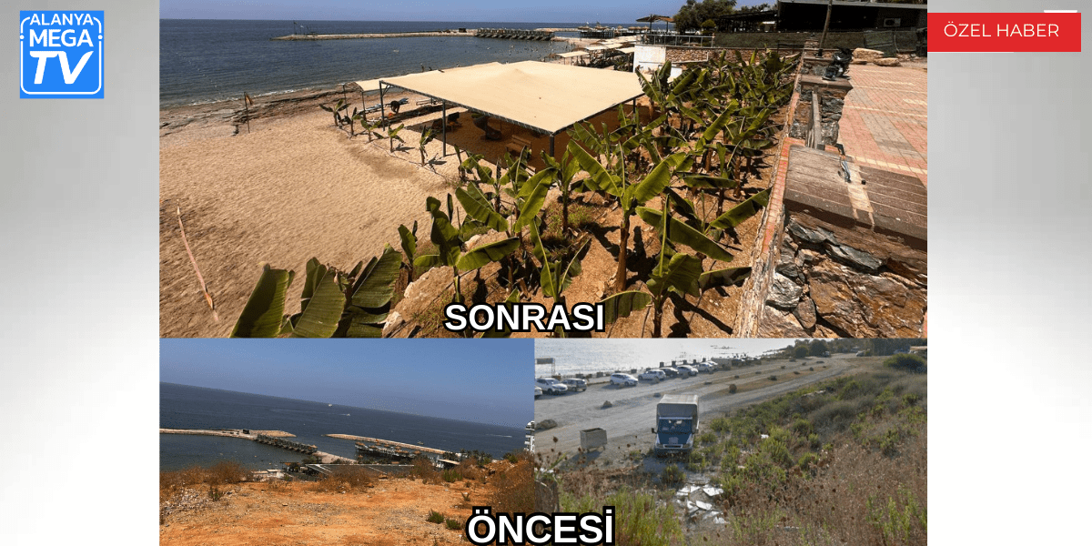 Alanya'da sahil katli serbest mi? - Mega TV WEBSİTE ŞABLON - 2024-07-13T111306.727