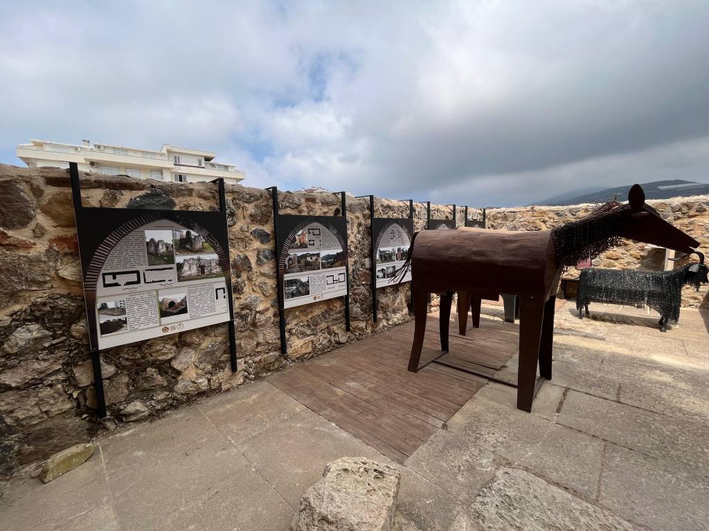 WhatsApp Image 2024 07 16 at 13.54.55 - Mega TV