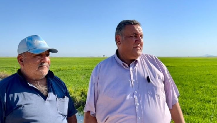 Gürer’den açıklamalar