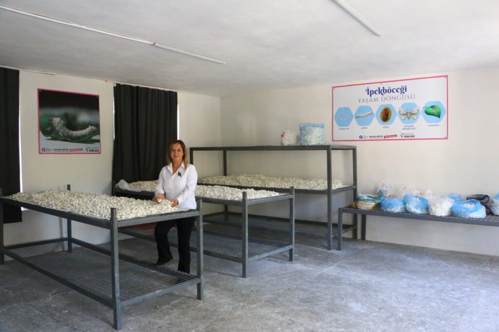 WhatsApp Image 2024 11 18 at 10.44.41 - Mega TV