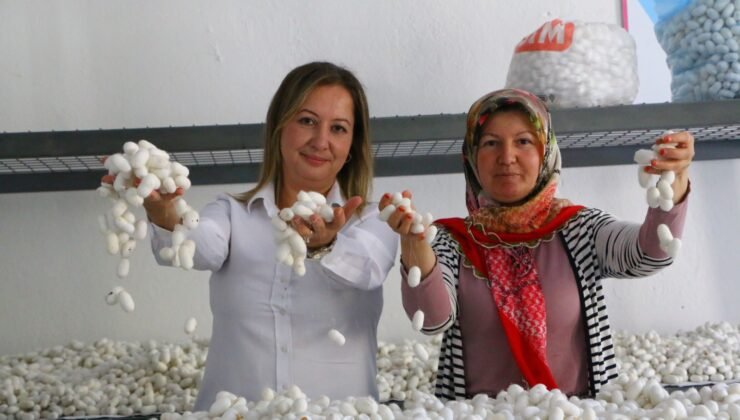 Sapadere İpek Evi’nde Eğitim Atölyeleri Başladı