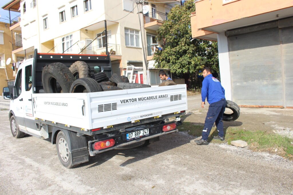 Manavgatta sinekle mucadele hiz kesmeden suruyor 2 - Mega TV