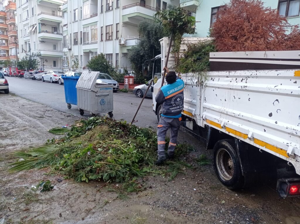 WhatsApp Image 2024 12 22 at 14.33.37 1 - Mega TV