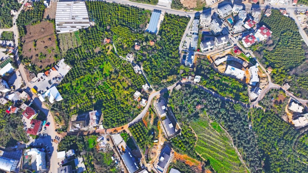 Alanya Belediye Başkanı Özçelik Peyzaj Çalışmalarını Denetledi, Müjdeyi Verdi - Mega TV WhatsApp Image 2025 01 31 at 16.33.14 1 - Mega TV